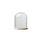 Glass Dome With Pine Base - 12X15CM