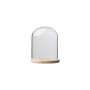 Glass Dome With Pine Base - 12X15CM