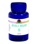 Willow - Kali Mur 200 No. 5