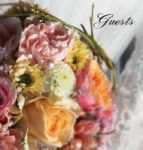 Wedding Guest Book Hardback Visitors Book Comments Book Guest Comments Book House Guest Book Party Guest Book - For Weddings Spe