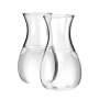 Personal Carafe - Borosilicate Glass - 200 Ml - 2 Pieces