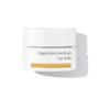 Dr. Hauschka Lip Balm 4.5 Ml