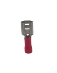 Terminal Preinsulated Red Piggy-back 6.35MM - 1PB