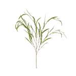 Willow Leaf Stem
