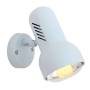 S40W Turbo Spot Light 1 X E27 60W R80 White