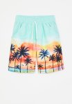 PoP Candy Ombre Board Shorts-multi