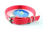 Dog Collars Single Layer 2.5CMX55CM