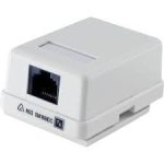 RJ45 Wall Mount Female
