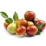 Jojoba Carrier Oil 100ML