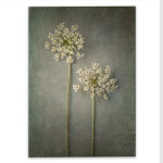 Foraged 1 Art Print - A1 No Frame Print Only