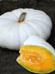 Pumpkin Flat White Boer A Seed - 100 G Raw Seed