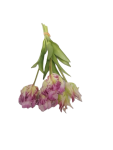Tulips Bunch - Purple 40CM