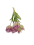 Tulips Bunch - Purple 40CM