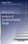 Analysis Of Quantised Vortex Tangle Hardcover 1ST Ed. 2017