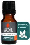 Organic Wintergreen 10ML Essential Oils