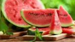 Watermelon Concentrate - 10ML