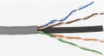 Molex Premise Networks Purple CAT6 Cable U utp Lszh Unterminated 305M