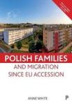 Polish Families And Migration Since Eu Accession Paperback