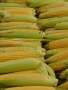 Sweetcorn Golden Bantam - Pack 200 G Raw
