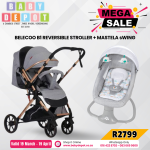 Mega 21