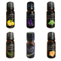 6X 10ML Organic Essential Oil Combo Pack