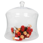 Curved Glass Dome 30CM H X 30CM W - 30CM H X 30CM W