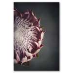King On Gray 2 Art Print - A3 No Frame Print Only