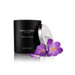 Charlotte Rhys Perfumed Candle Assorted 50G - Spring Flower