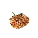 Hydrangea Cream brown 48CM
