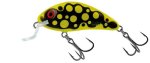 Salmo Rattlin Hornet Shallow 4.5CM