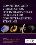 Computing And Visualization For Intravascular Imaging And Computer Assisted Stenting Hardcover