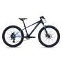 Avalanche Ignite 24" Disc Blue