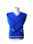 Prof Royal Blue And White Striped Jersey - Unisex