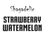 Vape Juice Nic Salt -- Strawberry Watermelon Ice -- 30ML @ 50MG