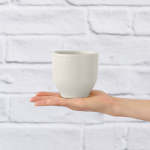 Calandiva Planter - Greens - Spiced Cream