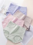 4PCS Simple Solid Briefs Breathable High Waist Stretchy Panties Women's Lingerie & Underwear