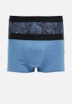 Jockey Bot Pouch Trunk 2 Pack - Surfs Up sapphire
