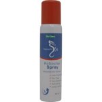 Stepping Out Refresher Foot Spray 90ML