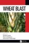 Wheat Blast   Hardcover