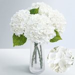 Waipfaru 21" Real Touch White Hydrangea Artificial Flowers With Long Stem & Leaves Full Latex Faux Hydrangea Flowers For Home De