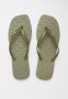 Polo Aop Stud Square Toe Flip Flop - Olive