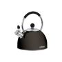 Salton - 2.5L Stainless Steel Stovetop Kettle