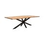 Vividitto - Phoenix Solidwood Dining Table - 240 X 100 Cm 8-10 Seater