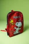 Pre-boys Backpacks