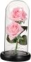 1PC Valentine Day Glass Shade Lamp LED Decoration