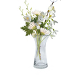 Curved Vase 17CM H X 9.6CM W