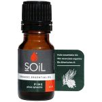 Soil-pine Essential Oil 10ML