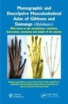 Photographic And Descriptive Musculoskeletal Atlas Of Gibbons And Siamangs Hylobates - With Notes On The Attachments Variations