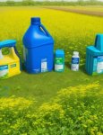 Roundup Lawn Weed Free Concentrate 500ML