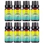 Roushun Biotin Hair Growth Oil Hair Growth Serum For Thicker Longer Fuller Healthier Hair Prevent Hair Loss & Thinning All Natural Vitamin Rich Treatment
